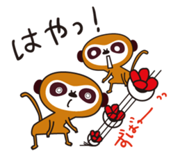 Meerkat  Indiaca club sticker #6102445