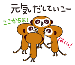 Meerkat  Indiaca club sticker #6102448