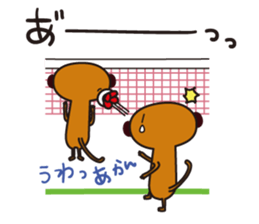 Meerkat  Indiaca club sticker #6102451