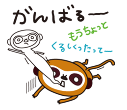 Meerkat  Indiaca club sticker #6102455