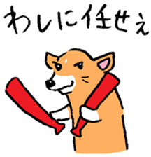 Baby pig Sixth edition sticker #6108572