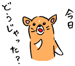 Baby pig Sixth edition sticker #6108595