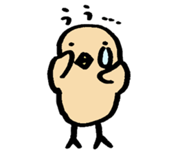 Bird's Daily sticker #6109694