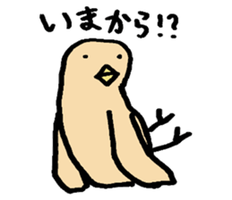 Bird's Daily sticker #6109708