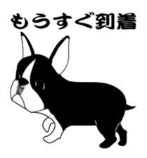 boss of the bostonterrier sticker #6111401