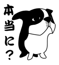 boss of the bostonterrier sticker #6111403