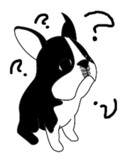 boss of the bostonterrier sticker #6111406