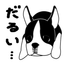 boss of the bostonterrier sticker #6111408