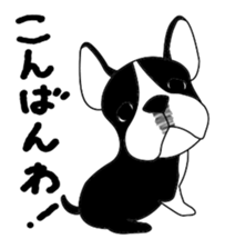 boss of the bostonterrier sticker #6111410