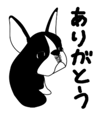 boss of the bostonterrier sticker #6111412