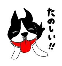 boss of the bostonterrier sticker #6111413