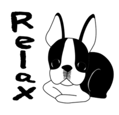 boss of the bostonterrier sticker #6111416