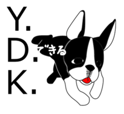 boss of the bostonterrier sticker #6111418