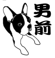 boss of the bostonterrier sticker #6111420