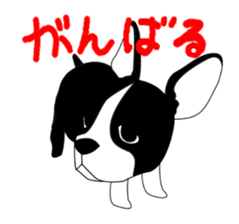 boss of the bostonterrier sticker #6111421