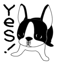 boss of the bostonterrier sticker #6111425