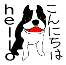 boss of the bostonterrier sticker #6111426