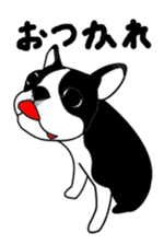 boss of the bostonterrier sticker #6111427