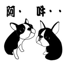 boss of the bostonterrier sticker #6111433