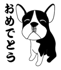 boss of the bostonterrier sticker #6111434