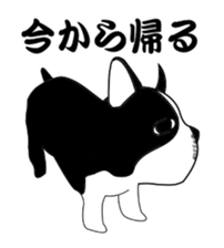 boss of the bostonterrier sticker #6111436