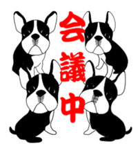 boss of the bostonterrier sticker #6111437