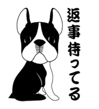 boss of the bostonterrier sticker #6111438