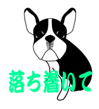 boss of the bostonterrier sticker #6111439