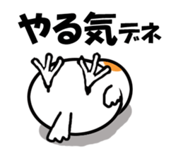 Cheeky parakeet 2 sticker #6112457