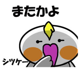 Cheeky parakeet 2 sticker #6112478