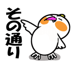 Cheeky parakeet 2 sticker #6112483