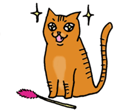 Anytime Cats sticker #6112981