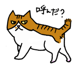Anytime Cats sticker #6112985