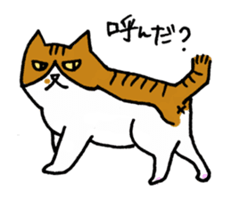 Anytime Cats sticker #6112985