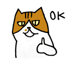 Anytime Cats sticker #6112986