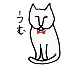 Anytime Cats sticker #6112998