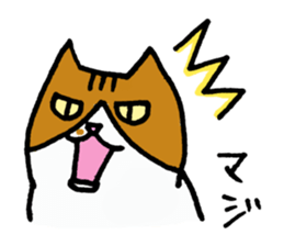 Anytime Cats sticker #6113000