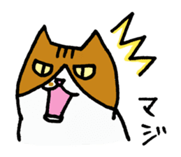 Anytime Cats sticker #6113000