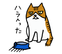 Anytime Cats sticker #6113001