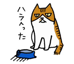 Anytime Cats sticker #6113001