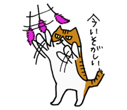 Anytime Cats sticker #6113003