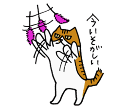 Anytime Cats sticker #6113003