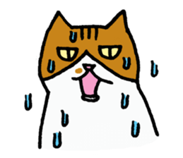 Anytime Cats sticker #6113004