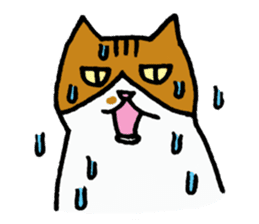 Anytime Cats sticker #6113004