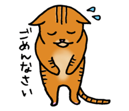 Anytime Cats sticker #6113005