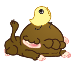 Momokichi of monkey . sticker #6116242