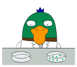 Six Scientist Birds in 6 Secs sticker #6117042