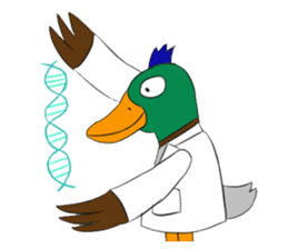 Six Scientist Birds in 6 Secs sticker #6117046