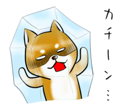 Japanese Shiba Inu Sticker 2. sticker #6117126