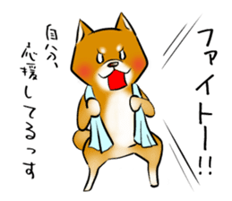 Japanese Shiba Inu Sticker 2. sticker #6117146